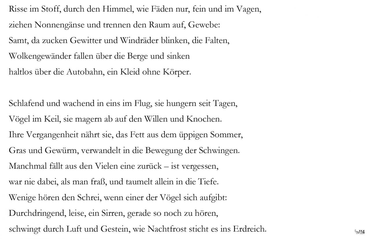 Christian Lehnert, (Die Nonnengänse I)