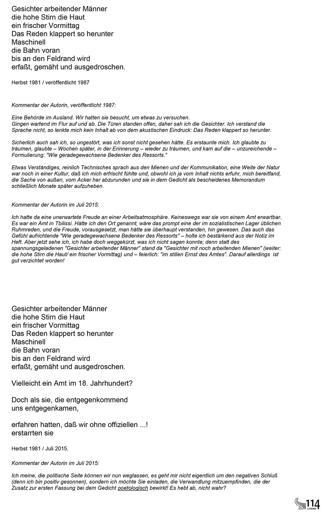 Elke Erb, Amt in T