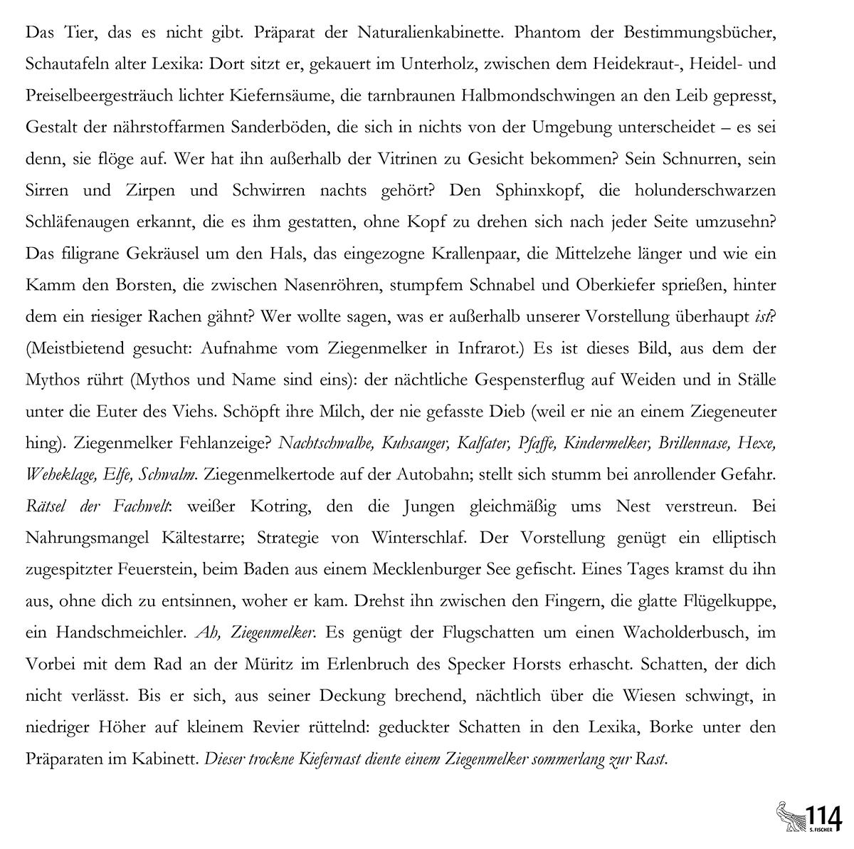 Jan Röhnert, Ziegenmelker