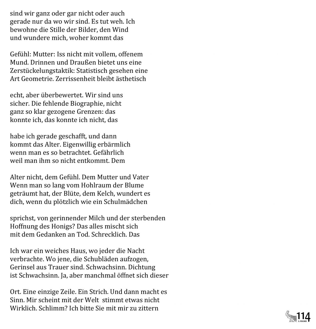 Matthias Göritz, In Zeiten abnehmender Schönheit