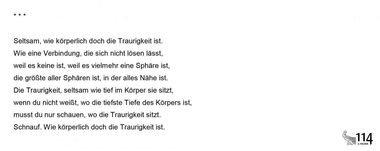 Monika Rinck, Seltsam, wie körperlich doch die Traurigkeit ist