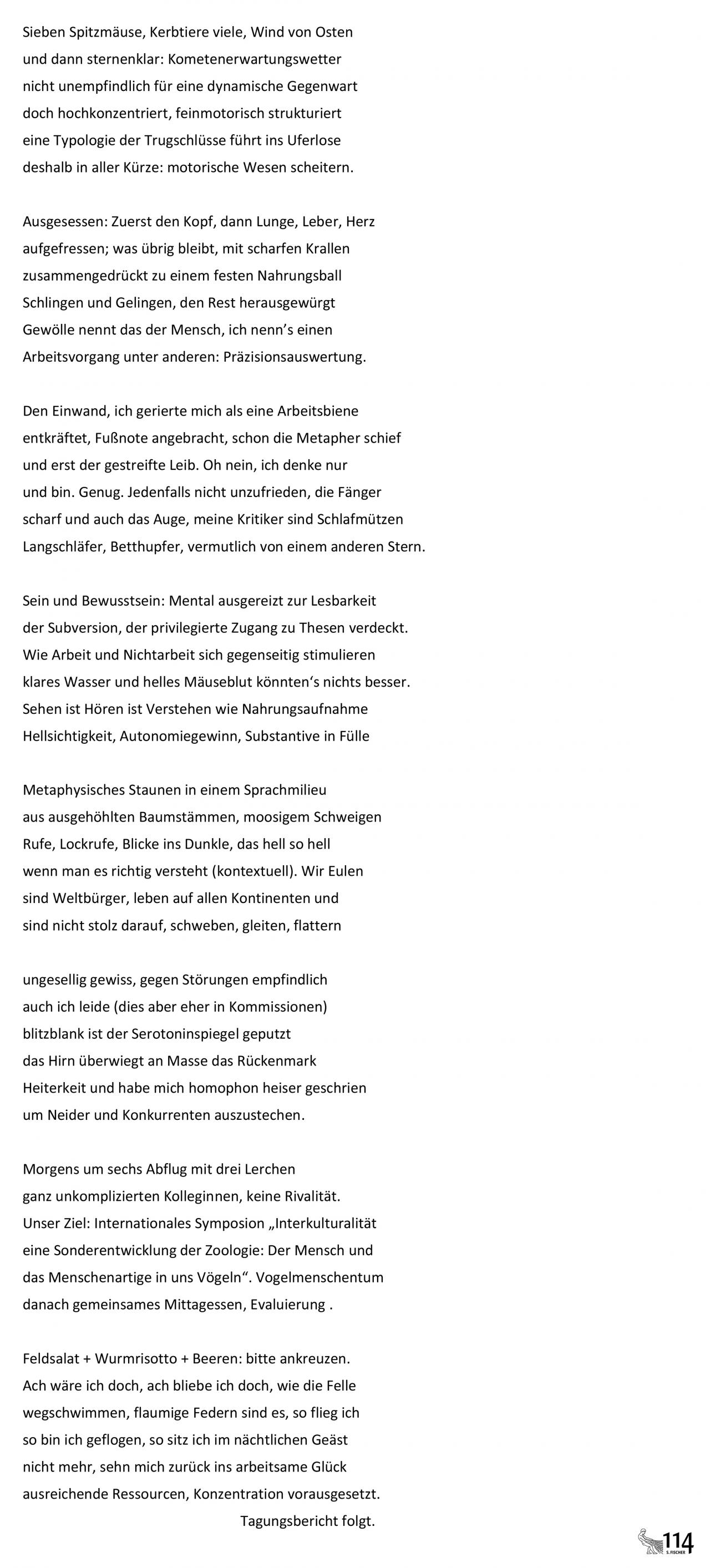Ursula Krechel, Aus dem Arbeitsbericht einer Nachteule