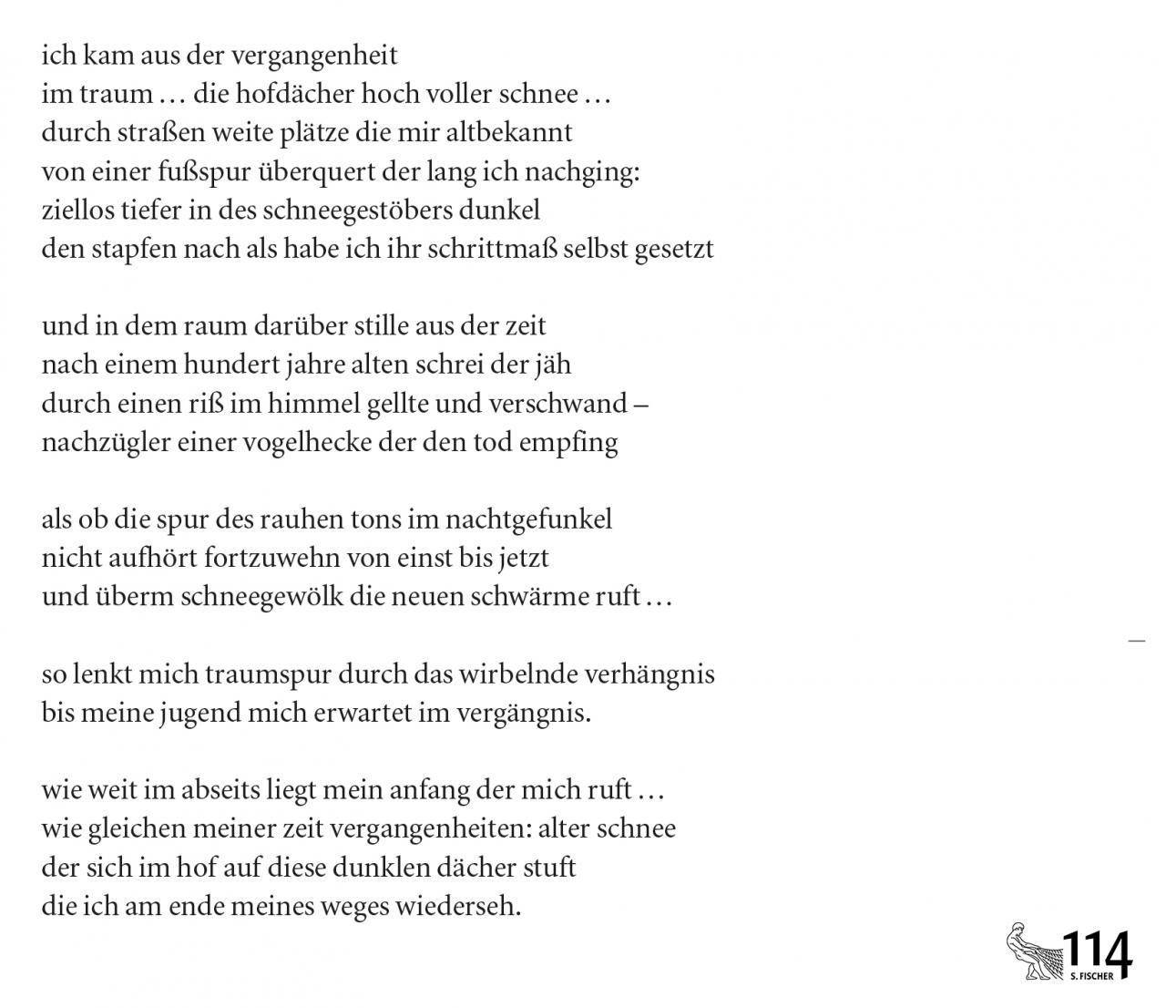 Wolfgang Hilbig, die fährte