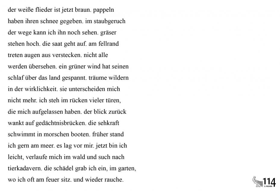 Andreas Altman, rauch