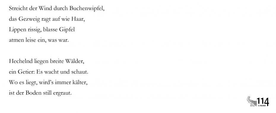 Christian Lehnert, (Reif)
