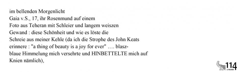 Friederike Mayröcker, im bellenden Morgenlicht