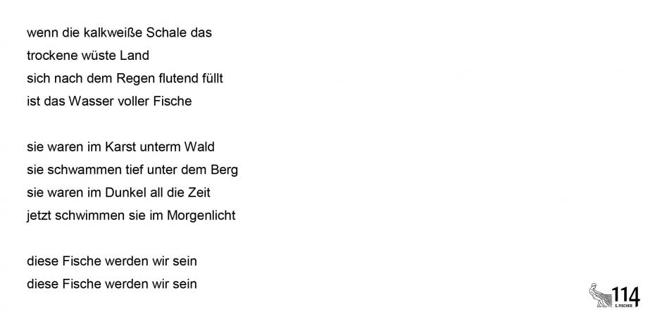 Heinrich Detering, episodischer See