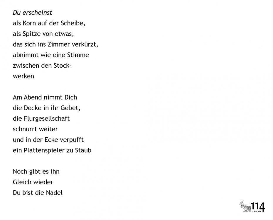 Nils Brunschede, Du erscheinst