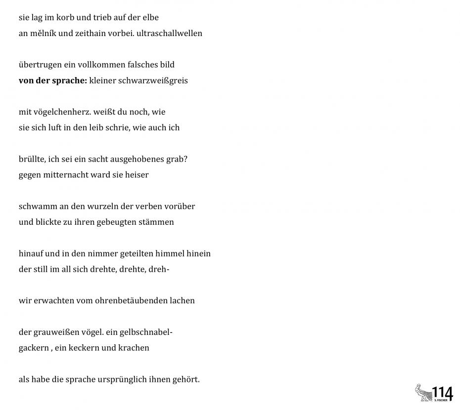 Ulrike Almut Sandig, von der sprache