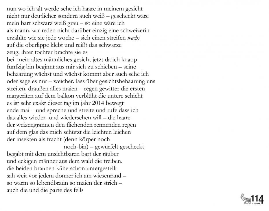 Ulrike Draesner, lasst uns über gesichtsbehaarung sprechen