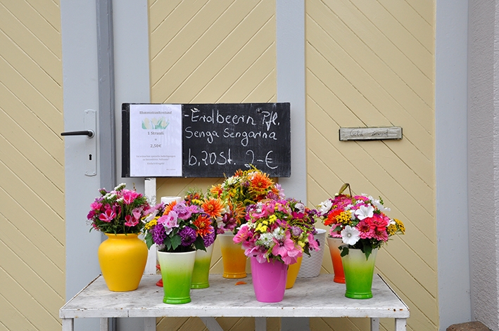 Blumen