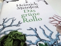 Heinrich Steinfest: Das grüne Rollo