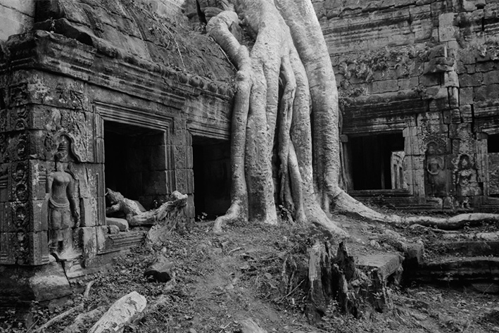 Ta Prohm KB 12