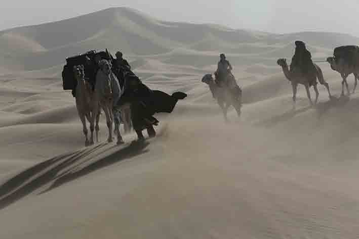 Werner Herzog: Queen of the desert | © 2013 QOTD Film Investment Ltd. All Rights Reserved