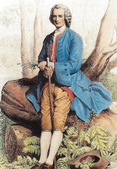 Rousseau Natur Rousseau in der Natur, als Botaniker (anonyme Gravur, 18. Jahrhundert)