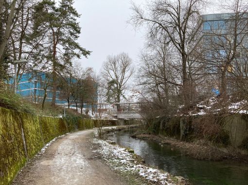 Chriesbach Der Chriesbach in der Abflussrinne zwischen Eawag und Empa (Foto: Dieter Imboden)
