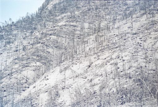 Lothar Das Orkantief fordert in der Schweiz 14 Tote. 15 Millionen Bäume werden umgerissen. Die Gesamtschäden belaufen sich auf 1,35 Milliarden Franken. Auf dem Säntis werden Werte von 230 Kilometern pro Stunde gemessen worden, auf La Dôle im Waadtländer Jura sind es 201 km/h. Lothar trifft hauptsächlich die Voralpen, das Mittelland und den Jura. Im Bild: Sturmschäden in Grafenort im Kanton Obwalden, aufgenommen am 29. Dezember 1999. (Foto: Keystone/Str)