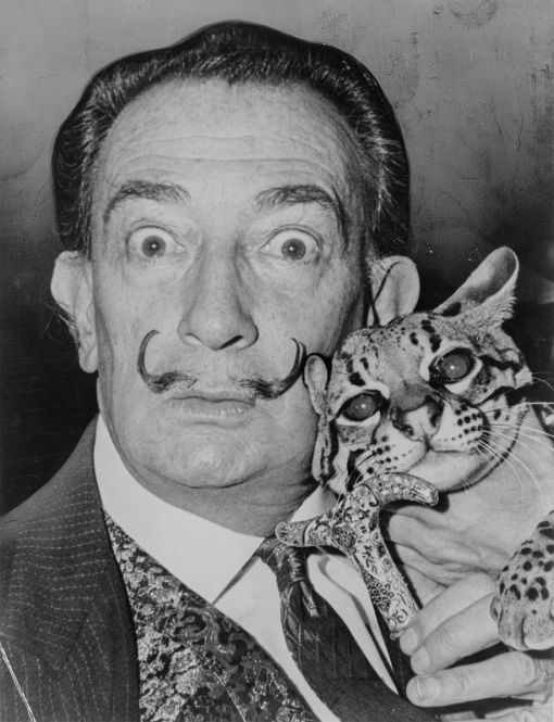 Dali 23. Januar 1989: Tod von Salvador Dalí, exzentrischer spanischer Maler, Grafiker, Bildhauer, Schriftsteller. Er war einer der Hauptvertreter des Surrealismus und gilt als einer der grössten Maler des 20. Jahrhunderts. Im Bild: Dalí mit einem Ozelot, den er als Haustier hielt. Berühmt sind seine Traumbilder, schmelzenden Uhren und brennenden Giraffen. Dalí war unter anderem befreundet mit Luis Buñuel, Federico García Lorca, Man Ray, Hans Arp, René Magritte und Max Ernst. Viele seiner Bilder stellen seine Frau Gala (Gala Éluard Dalí) dar, die starken Einfluss auf sein Schaffen hatte. Beide gingen später getrennte Wege. Dalí pflegte ein Verhältnis zu Amanda Lear. 1950 schockierte er die Belegschaft des Pariser Hotels Le Meurice, weil er eine Herde Schafe in sein Zimmer bestellte. Ebenso irritierten seine teilweisen Sympathien für Francisco Franco. Seit 1981 litt er an der Parkinson-Krankheit. Nach dem Tod seiner Frau Gala lebte er allein und zurückgezogen in Púbol in Katalonien. (Foto: Library of Congress, Washington/World Telegram & Sun, Fotograf: Roger Higgins)
