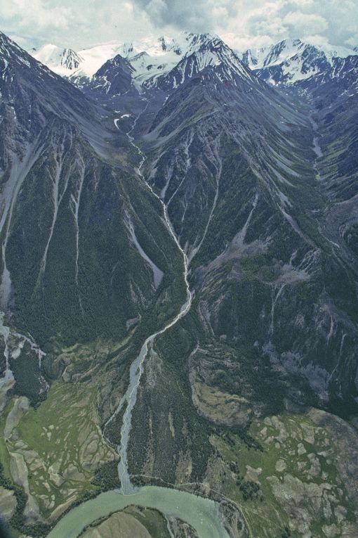 Das  Altaigebirge krümmt sich 2500 Kilometer lang durch Zentralasien. Sein östlicher Ausläufer trennt die Äussere Mongolei von den Wüsteneien der Taklamakan und der Gobi in China; sein Westteil, der 600 Kilometer lange Russische Altai, markiert auf weite Strecken die Grenze zwischen Sibirien, das heisst der Russischen Föderation, und Kasachstan, am östlichen Ende auch diejenige mit China und der Mongolei. Wer diesem Gebirgszug zu einem goldenen Schimmer verhalf, und mit welcher Begründung, ist unbekannt; der Vergolder kann sich jedenfalls kaum auf die paar Goldvorkommen, Goldseifen und Goldadern, herausreden. Zum Welterbe zählen drei eng begrenzte Abschnitte dieser Grosslandschaft, alle in der Föderationsrepublik Altai gelegen: der weiträumigste um den Telezker-See, nach dem Baikalsee Sibiriens bedeutendster Süsswasserspeicher; der zweite auf den höchsten Gipfel des Gebirges, den Belukha (4506 m.ü.M.), fokussiert; der dritte und kleinste mit dem Ukok-Hochtal als Hauptattraktion. Die dem Schutz der Menschheit anvertrauten Gebiete im Russischen Altai addieren sich zu einer Gesamtfläche von l6146 Quadratkilomtern.

Mit 1499 Gletschern und mehr als 3500 Seen ist der Russische Altai ein überreiches Wasserschloss. Auf unserem Bild entwässert das Belukha-Massiv in den Katun, einen Quellfluss des Kreuzworträtselstroms Ob. Die drei Schutzgebiete allein liefern nahezu ein Drittel von Westsibiriens Wasser. Die pflanzengeographische Differenzierung nach Höhenstufen ist in Zentralsibirien nirgendwo eindrücklicher, modellhafter ausgebildet. Auf Steppe folgt Waldsteppe, auf diese Mischwald, darüber beenden subalpine und alpine Pflanzengesellschaften die Sequenz. Aufsteigend erlebt der Wanderer diese Zonierung zunächst als smaragdgrünes Hügelland und dann als Mittelgebirge, an dessen Hängen und Flanken die Taiga, der sibirische Nadelwald, mit einer Beimischung von Birken emporschwappt; Tannen, Fichten und Föhren unten, darüber Lärchen und noch höher Arven, die hier Zedern heissen; zuletzt über dem Lieblichen das Harsche: das vergletscherte Hochgebirge.

Schon möglich, dass beim Vergleich mit anderen Hochgebirgen der Alten Welt, mit den Alpen etwa, dem Kaukasus, dem Pamir oder dem chinesischen Himmhelsgebirge, der Altai sich zweitplaciert, solange es ausschliesslich um spektakuläre Schönheit oder geologische Besonderheit geht. Seinen Welterbestratus begründet einmal der pflanzliche und tierische Artenreichtum, eine wahre Auslegeordnung montaner Artenvielfalt, dann die Bedeutung als Ursprungszentrum  für das nordasiatische Florengebiet ebenso wie als Refugium für einige vom Aussterben bedrohte Arten, etwa den Schneeleoparden oder den Argali, ein wildes Kreishornschaf. Die Naturnähe des Altai verhilft ihm zu weiteren Pluspunkten. Hinsichtlich Biodiversität steht der Telzker See in Zentralasien lediglich an dritter Stelle, aber kein anderer See ist unberührter. Die Gefährdung durch menschliche Aktivitäten ist (vorläufig noch) grenzwertig. Es gibt in den Altai-Schutzgebieten wenige Dauersiedler. Der Tourismus hat verhältnismässig sanft eingesetzt: Wanderer waten noch durch Wiesen, die von Edelweiss schimmern, als wären sie schneebedeckt. Der Auftrieb von Vieh durch mongolische Nomaden ist begrenzt und soll weiter eingeschränkt werden. Gelegentlich fällt nach einem Raketenstart in Kasachstan die Booster-Erststufe auf den Altai. Raumfahrtmüll – schön wär’s, wenn es bei solchem Müll bliebe...

Nach dem Zweiten Weltkrieg kam der Altai auch archäologisch ins Gerede. Ein skythisches Reitervolk hatte hier seine Noblen mit deren Lieblingspferden im Dauerfrostboden beigesetzt. Seit den achtziger Jahren untersuchen  russische Archäologen im Ukok-Tal diese Hügelgräber (Kurgane). Bei der systematischen Aufarbeitung eines unerwarteten und unverhofften geschichtlichen Erbes – auf  kasachischem Gebiet graben auch deutsche und französische Forscher – wurden bisher annähernd 300 Kurgane geöffnet. Mit Unterstützung des Schweizerischen Nationalfonds konnte, mit der Jahrring- und C-14-Methode, diese skythische Grabkultur in den Zeitraum von 350 bis 240 v. Chr. datiert werden. Ein Jahrhundert lang erlaubte offenbar die Milde des Klimas die Nutzung dieser abweisenden Gebirgsregion als Siedlungs- und Begräbnisplatz sowie, das belegen Grabbeigaben aus China und Persien, als Durchgangsraum für den Fernhandel. Es wird kaum erstaunen, wenn auf der Liste des Welterbes der Altai bald einmal von den Naturdenkmälern in die Kategorie der Kulturlandschaften wechseln wird. – Jahr des Flugbilds: 1993 (Copyright: Georg Gerster/Keystone)
