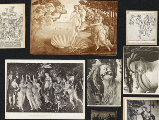 Aby Warburg, Bilderatlas Mnemosyne, Ausschnitt aus Panel 39 (wiederhergestellt); Foto: Wootton / fluid; Courtesy The Warburg Institute, London
