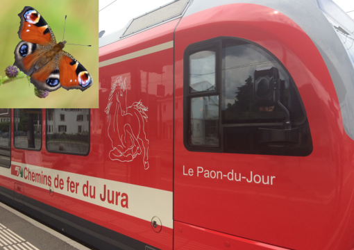 Das „Tagpfauenauge“, moderner Triebwagen des Chemins de fer du Jura in Glovelier
