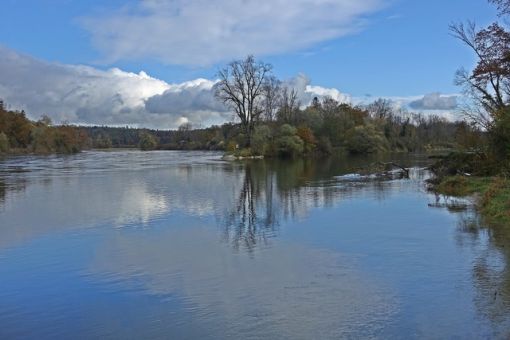 Beim Thurspitz. Einmündung der Thur (rechts) in den Rhein (Foto U. Bundi)