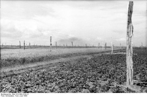 Atlantikwall Holzpfähle wurden an der Küste errichtet. Sie sollen Luftlandungen der Alliierten verhindern. Die Anlagen wurden auch "Spargelfelder" genannt. (Deutsches Bundesarchiv, Propagandakompanien der Wehrmacht, Bild 101I-582-2122-31, Fotograf: Toni Schneiders, Juni 1944)