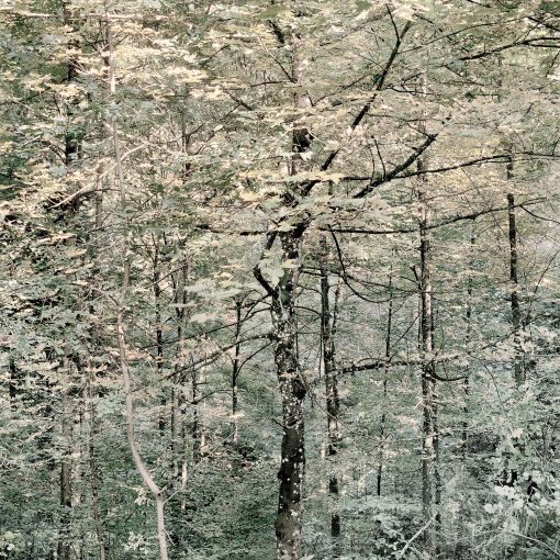 D_Kanzem_2009 D_Kanzem_2009© Mat Hennek, Steidl 2017