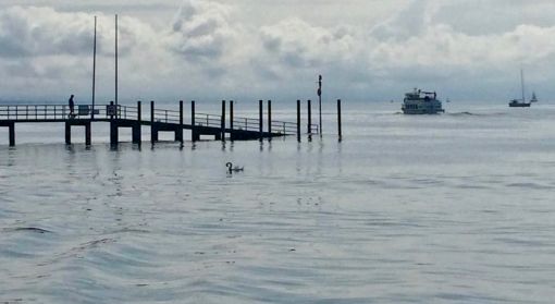 Schiffssteg Schiffssteg bei der Bodensee-Therme
