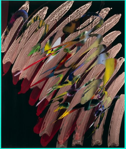 Katharina Grosse Katharina Grosse (*1961):Ohne Titel, 2011, Acryl auf Leinwand, 180 × 150 cm; Privatsammlung Schweiz; © 2019, ProLitteris, Zurich; Foto: Courtesy Galerie Nächst St. Stephan, Rosemarie Schwarzwälder, Wien