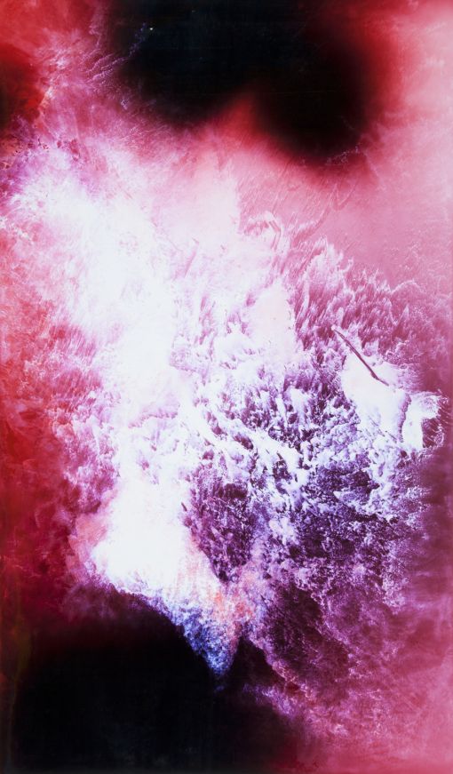 Raphael Hefti: Lycopodium 2012, Foto: Raphael Hefti