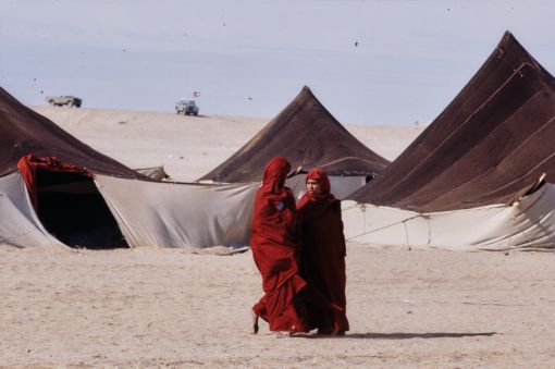 Sahraoui-Lager bei Tindouf Sahraoui-Lager bei Tindouf, 1979 (Foto: Armin Wertz)