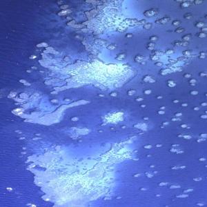 Great Barrier Reef - Ein Nonplusultra der Natur, Superlative und kein Ende...
Das Grosse Barriereriff, das über 2000 km vom Wendekreis des Steinbocks bis in die Küstengewässer Papua-Neuguineas als Wellenbrecher die australische Nordostküste begleitet, ist weltweit das grösste Korallenriff. Freilich: eine Mauer, ein Wall ohne Breschen ist es nicht. (Das Flugbild zeigt das Riff auf der Breite von Cairns in Queensland.) Vielmehr addieren sich 3400 Einzelriffe zu einem Ganzen, das mehr ist als die Summe seiner Teile – das massigste Bauwerk, das Lebewesen je errichtet haben.

Die Artenvielfalt der Tiere, die in diesem 347 800 qkm Meeresoberfläche belegenden Ökosystem eingebunden sind, wird an keinem andern Ort des Planeten erreicht. Über 1500 Arten  Fische, etwa 400 Korallenarten, 5000 Arten Weichtiere, 215 Vogelarten, 6 von 7 weltweit vorkommenden Meeresschildkröten sowie Schwämme, Seeanemonen, marine Würmer, Krebstiere sonder Zahl. Die Säugetiere vertritt neben diversen Walarten der Dugong, die vom Aussterben bedrohte Gabelschwanz-Seekuh.

Das Riff ist ein (vorwiegend) untermeerischer Garten Eden. Er ist in akuter Gefahr. Seit die Unesco das Riff 1981 zum Weltnaturerbe beförderte, hat sich die Korallendecke mehr als halbiert. Immer mehr Zyklone und die Erwärmung des Meeres – Begleiterscheinungen des Klimawandels – setzen dem Riff zu. Die symbiotisch mit den Korallenpolypen lebenden einzelligen Algen, die sie färben und sie nähren, gehen in dem überwarmen Wasser zugrunde – und nach ihnen die Polypen.

Die Korallenbauten veröden zu weissen Kalkwüsten. Andere Teile des Riffs sterben im Verbiss der Dornenkrone – eines gefrässigen Seesterns mit periodischen explosiven Massenvermehrungen. An diesen ist der Mensch möglicherweise nicht unschuldig. 36 Flüsse münden in das Binnenmeer zwischen Küste und Innenriff: Entwaldung im Hinterland vergrössert die Sedimentfracht, die Landwirtschaft setzt Düngemittel und Pestizide zu – für Korallen ein tödlicher Cocktail, der aber der Dornenkrone zu munden scheint. Stressfaktor Mensch überhaupt: die Suche nach Öl und Gas, neue Hafenanlagen, neue Siedlungen, das Milliardengeschäft des Rifftourismus mit Schnellbooten und jährlich über einer Million Tauchgängen. Und so fort. Auftrags der Unesco begutachteten im März 2012 Biologen den Zustand des Riffs. Der Augenschein alarmierte sie. Ihr Bericht moniert die schleichende Erosion des OUV – OUV (Outstanding Universal Value), „herausragende universelle Bedeutung“, ist das Lebenselixier einer Welterbestätte.

Die Gutachter hoben den Drohfinger. Gegen den Klimawandel ist kein Kraut gewachsen. Aber wenn Australien die Entwicklung der Küstenregion und das Wassermanagement nicht in den Griff bekommt, muss das Grosse Barrieriff bald mit der Strafversetzung auf  die Rote Liste gefährdeter Welterbegüter rechnen. – Jahr der Aufnahme: 1974 (Copyright Georg Gerster/Keystone)