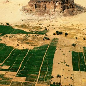 Der Sudan unterschrieb die Welterbekonvention 1974 – noch bevor sie in Kraft trat. Trotzdem musste er lange bis zur Auszeichnung eines ersten Kandidaten anstehen.
Gebel Barkal und die umliegenden archäologischen Stätten (Aufnahmejahr 2003) waren freilich auch hochkarätig genug, ohne Frage eine Kandidatur von Welterbe-Statur – wenn es denn schon Welterbe gab. Gebel Barkal, der heilige Berg der Kuschiten, zwanzig Kilometer stromabwärts vom vierten Nil-Katarakt am linken Ufer, war der Götter- und Regierungssitz des ersten schwarzafrikanischen Grossreichs, Die Reste von Tempeln, Kapellen, Palästen und Verwaltungsbauten sowie Friedhöfe um den Felsklotz und auf dem andern Ufer verdeutlichen seine einstige Bedeutung.

Auf die Sohlen der Sandalen von Tutanchamun waren Schwarzafrikaner, Kuschiten, aufgemalt; der ägyptische Gottkönig zertrampelte so immer wieder neu das Geschmeiss aus dem Süden. Die Beziehung Altägyptens zu seinem wilden Süden, zu Nubien, dem „elenden Kusch“, dessen Grenze sich im Laufe der Jahrtausende über den ersten Katarakt hinaus bis zur vierten Nilschnelle verschob, war zweifellos wechselseitiger, als uns die pharaonische Hauspropaganda weismachen will. Pharao Thutmosis III. drang um 1430 v. Chr. bis zum Gebel Barkal vor und gründete dort Napata als militärischen Aussenposten und Umschlagplatz für die Karawanen aus dem Innern Afrikas.

Vermutlich war Napata schon damals eine Siedlung von Bedeutung. Flussabwärts, bei dem heutigen Kerma, gab es sogar eine nubische Stadt, bei deren Erforschung sich seit Jahrzehnten Genfer und Neuenburger Archäologen hervortun. Was immer die Soldaten in Napata vorfanden, sie hatten leichtes Spiel – ägyptischer Lifestyle, Pharaos Kosmetiker und Schneider hatten die Kuschiten längst verführt. Später bestatteten diese die Königsfamilie und die Nobilität sogar wieder in Pyramidengräbern, die im pharaonischen Ägypten schon ein Jahrtausend zuvor aus der Mode gekommen waren. Die Ägypter hatten in Napata in einem grandiosen Tempel am Fuss des „reinen Bergs“ den Reichsgott Amun etabliert. Auch in der Amun-Verehrung gaben sich die Kuschiten bald ägyptischer als die Ägypter, vielleicht nicht ganz ohne Hintergedanken: Amun war der Schutzgott der nubischen Goldbergwerke – und seine Priester stille Teilhaber bei deren Ausbeutung. Napata erstarkte wirtschaftlich, kulturell, politisch – und im 8. Jahrhundert v. Chr., als das ägyptische Weltreich an den Rändern zerfranste, geschah das Unerhörte: Kusch eroberte Ägypten, die Herrscher von Napata legten dem Gott Amun von Theben ein vom Zusammenfluss des Blauen mit dem Weissen Nil bis zur Nil-Mündung ins Mittelmeer geeintes Reich zu Füssen. Die schwarzen Pharaonen der 25. Dynastie (753–664) wichen zuletzt assyrischem Druck und zogen sich in ihr Kernland zurück. Um 300 v. Chr., aus nicht ganz einsehbaren Gründen, verlegten sie ihre Hauptstadt 500 Kilometer nilaufwärts nach Meroë. Napata freilich blieb auch für die Könige von Meroë das spirituelle Zentrum bis in die frühchristliche Zeit hinein.

Die „Schluchten von Napata“, die Radames in der Oper „Aida“ beschwört, existieren nicht. Jäh steigt der Gebel Barkal aus der Sahel-Steppe auf – ein Zeugenberg, den Verwitterung und Erosion aus dem nubischen Sandsteinplateau herauspräpariert haben. Sie sorgten auch für vier Vorsprünge an dem Sandsteinblock; einen Vorsprung trennte der schmirgelnde Sandwind fast ganz von der Felswand, als Turm steht er vor der Südwestecke. Die Berggestalt beflügelte von jeher die Phantasie der Einheimischen und vieler Besucher. Reste von Riesenstatuen? Taharka, der herausragende Pharao der 25. Dynastie, war zweifellos oft an Abu Simbel vorbeigekommen. Wollte er am Gebel Barkal Ramses den Grossen übertrumpfen, die Kolossalstatuen vor dessen Felstempel mit eigenen, noch gigantischeren Felsbildern zu Wichtelmännern degradieren? Der amerikanische Archäologe Timothy Kendall erkannte in dem Felsbild wenigstens das Abbild einer Kobra, die als Uräus-Schlange den Gott Amun bewacht. Aber vielleicht gehen ja solche Deutungen auf Blendwerk zurück, die hitzeflimmernde Wüste war schon immer ein Illusionstheater. Seit Kendall ist immerhin gesichert, dasss Taharka hoch oben am Felsturm eine Hieroglypheninschrift einmeisseln liess. Vermutlich schützte Goldblech die fast drei Meter breite und über einen Meter hohe Inschrifttafel: in der Sonne erstrahlte sie am heiligen Berg wie ein Leuchtfeuer. – Jahr des Flugbilds: 1963. (Coypright Georg Gerster/Keystone)