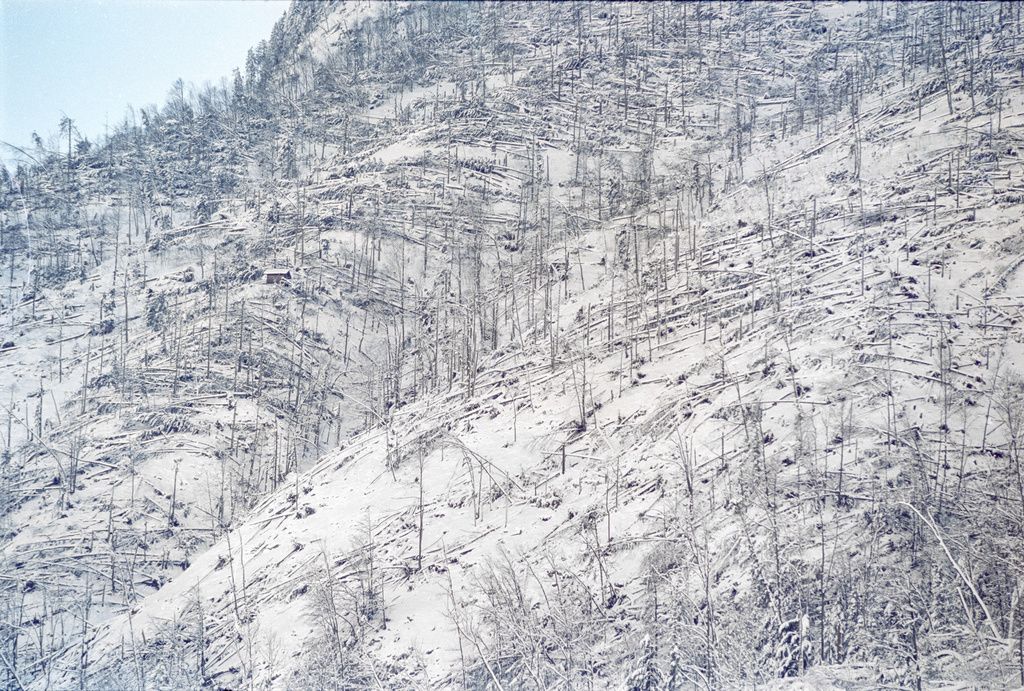 Vor zwanzig Jahren: „Lothar“: Das Orkantief fordert in der Schweiz 14 Tote. 15 Millionen Bäume werden umgerissen. Im Bild: Sturmschäden in Grafenort im Kanton Obwalden, aufgenommen am 29. Dezember 1999. (Foto: Keystone/Str)

Die Gesamtschäden des Orkans belaufen sich in der Schweiz auf 1,35 Milliarden Franken. Auf dem Säntis waren Werte von 230 Kilometern pro Stunde gemessen worden, auf La Dôle im Waadtländer Jura waren es 201 km/h. Lothar traf hauptsächlich die Voralpen, das Mittelland und den Jura. 

