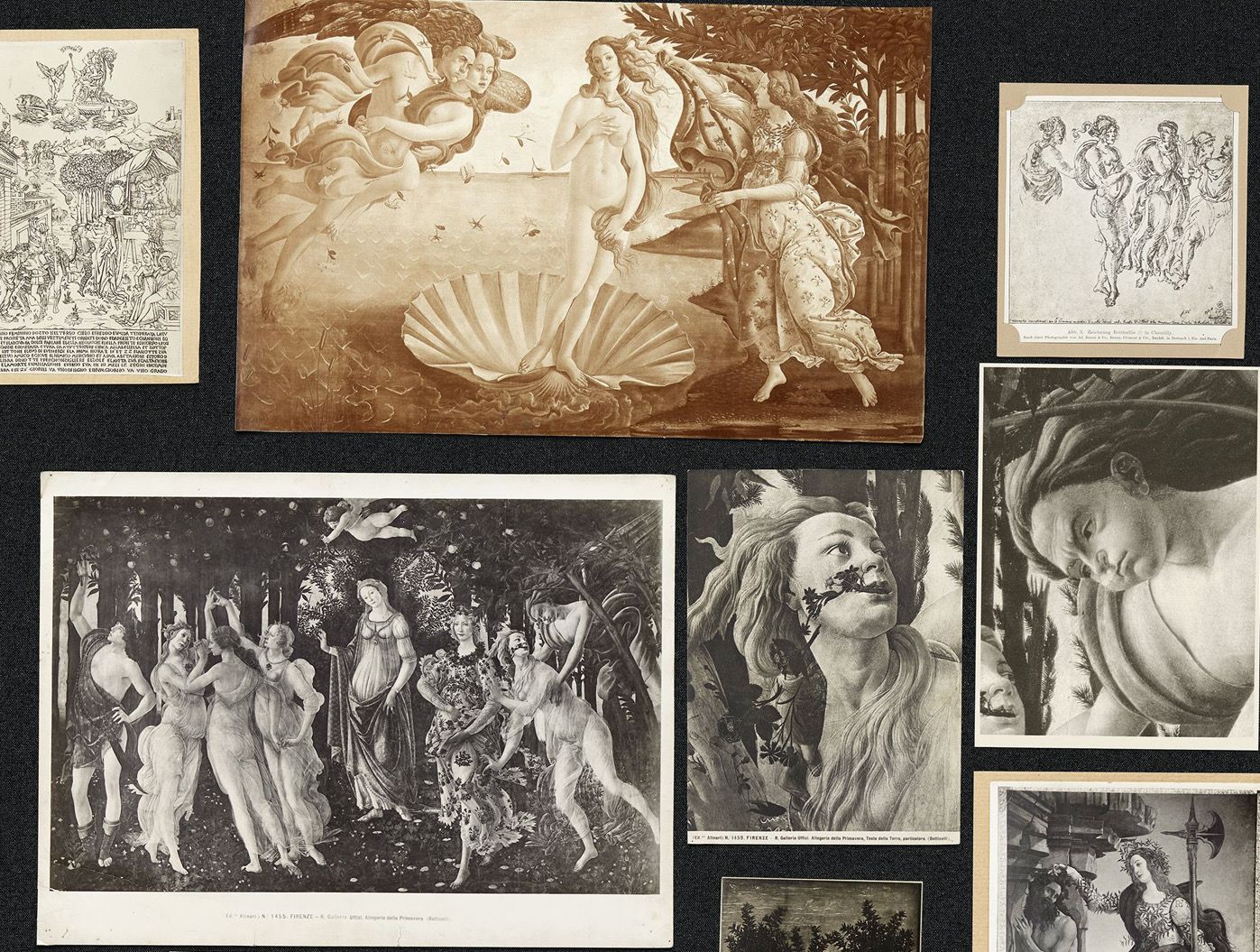 Aby Warburg, Bilderatlas Mnemosyne, Ausschnitt aus Panel 39 (wiederhergestellt); Foto: Wootton / fluid; Courtesy The Warburg Institute, London