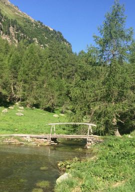Brücke Das Brücklein beim Ausfluss des Palpuognasees