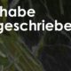 © Suhrkamp Verlag