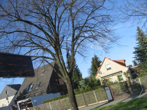 21.4.:6