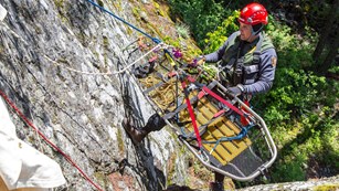 Ranger repelling on a rock face with a litter