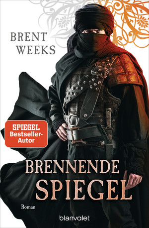 Brennende Spiegel (Licht-Saga 6)