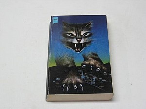 Katzenmagie