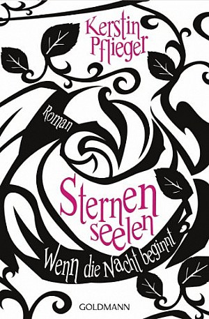 Wenn die Nacht beginnt - Sternenseelen (1)
