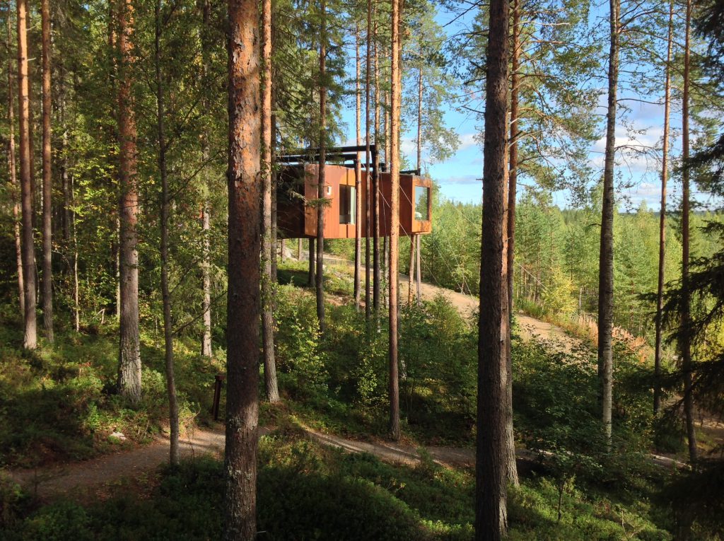 Ina Knobloch: Baumhaus mit Faultier_ resonanzboden_Ullstein