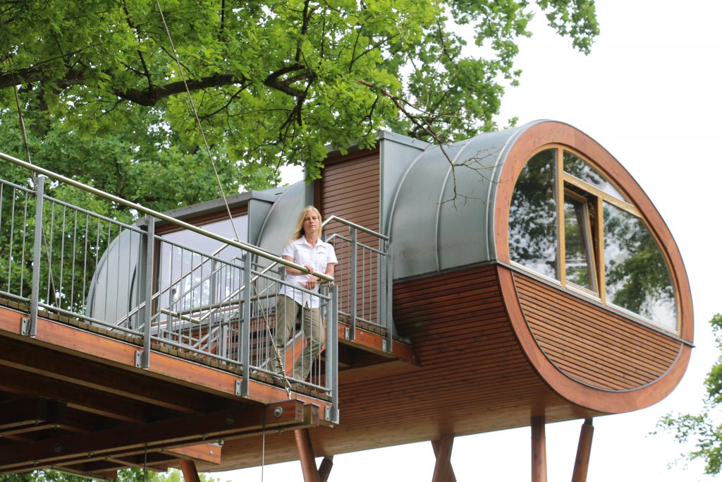 Ina Knobloch: Baumhaus mit Faultier_ resonanzboden_Ullstein