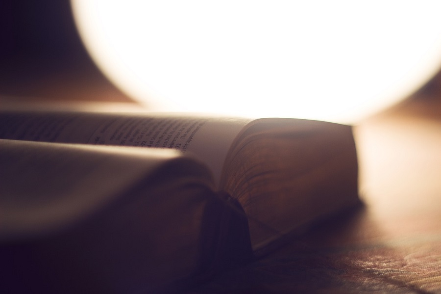 was wir lesen wollen resonanzboden