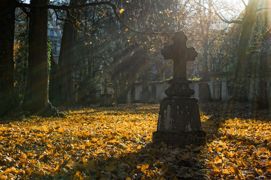 Friedhof Ruth Hogan Ullstein