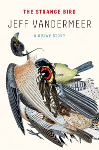 covertrends: vögel