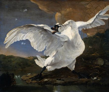 Jan Asselijn, Der bedrohte Schwan (vor 1652) – Source: Wikimedia Commons