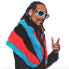 SnoopDoggVEVO
